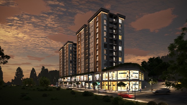 project-image
